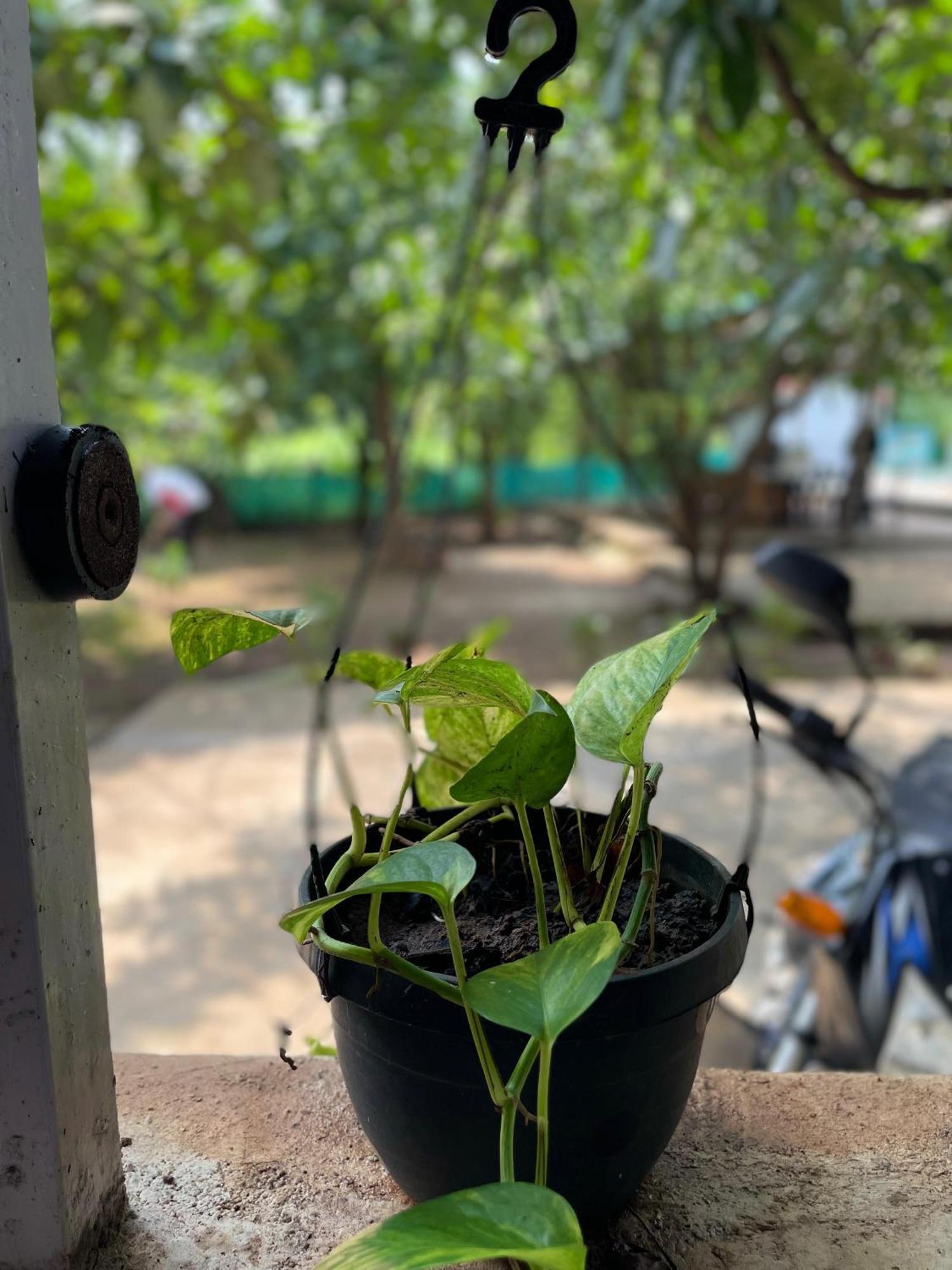Riverland Farm And Resort Karjat Eksteriør billede